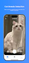 Catspace – Cat Scanner gallery image