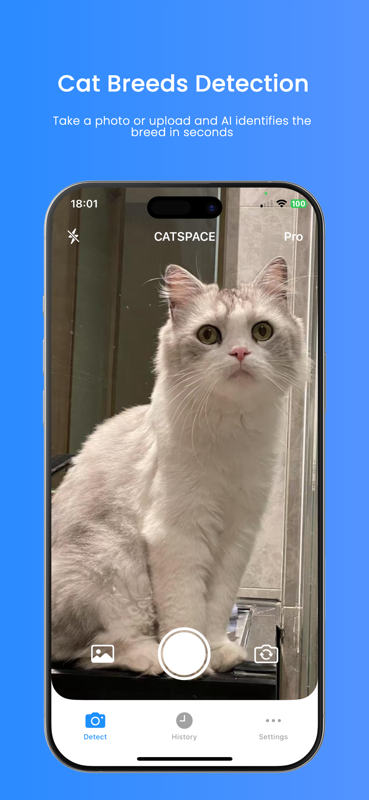 Mídia 1 de Catspace - scanner de gatos - Digitalize instantaneamente a raça do seu gato e o perfil de gênero Kitty