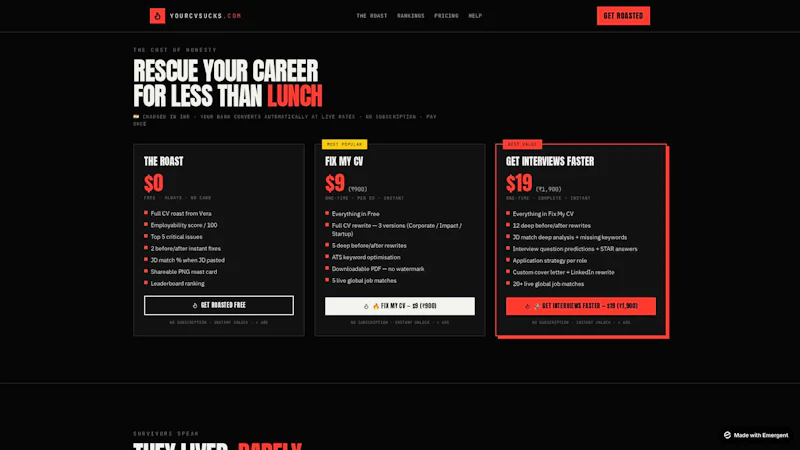 yourcvsucks.com —Vera will roast your CV screenshot 3