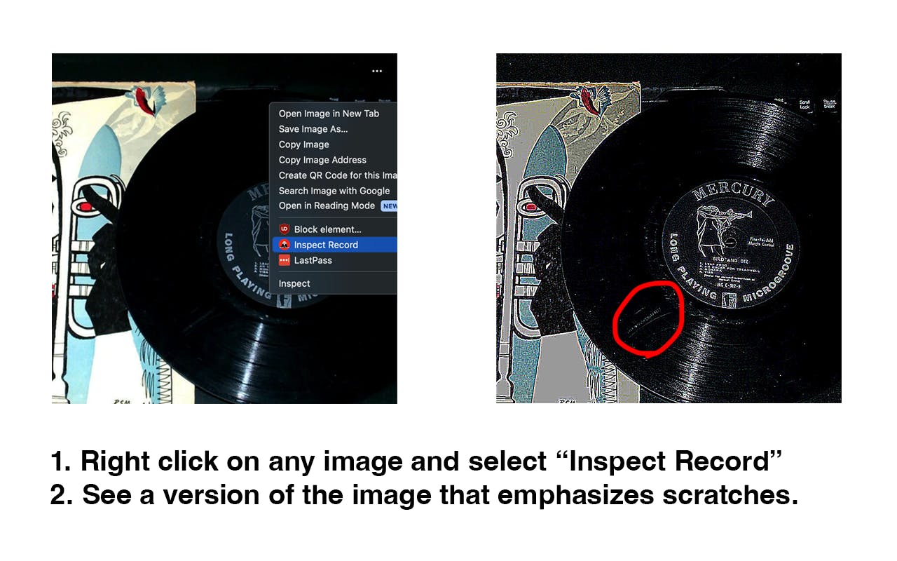Vinyl Inspector media 1