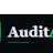 AuditAI