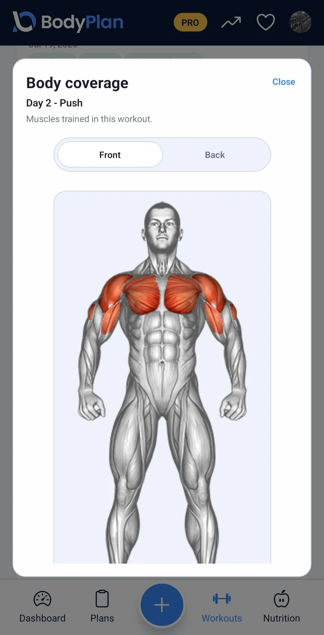 BodyPlan gallery image