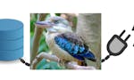 Kookaburra Privacy image
