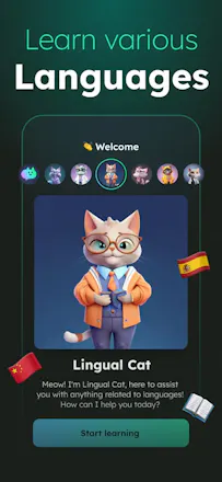 Chat Cat gallery image