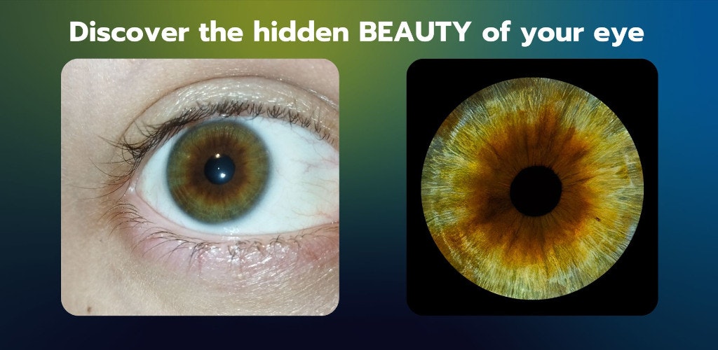 ArtedEye gallery image