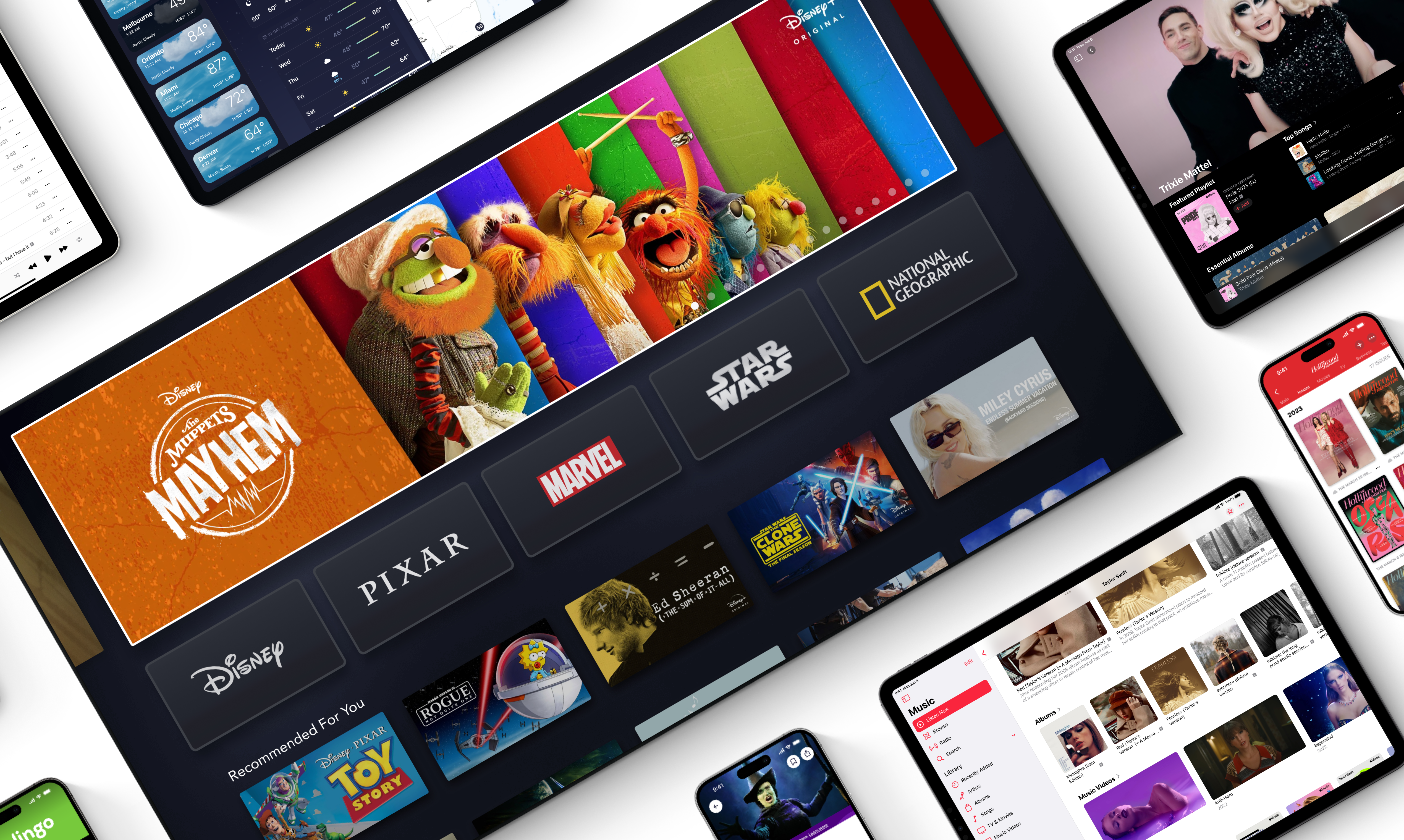 Cheetah Ui media 2