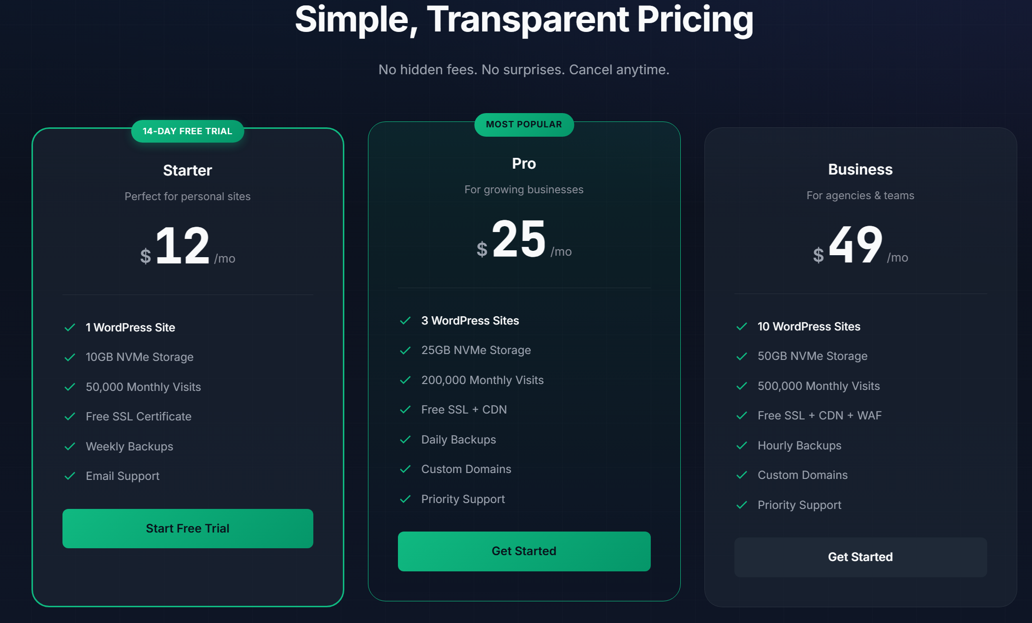 MojoShine gallery image