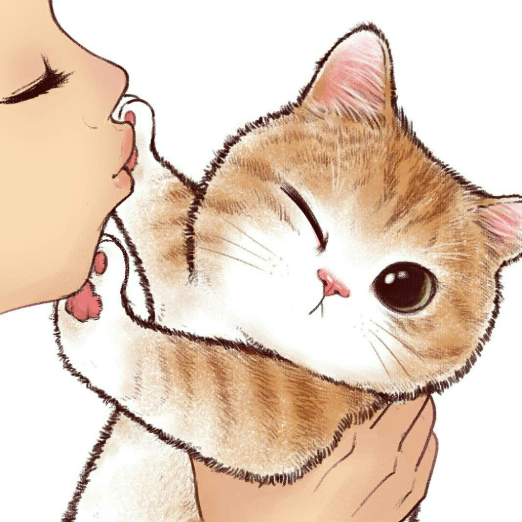 Nette Profilbilder - Niedliche PFP, Cat PFP, Funny PFP, Anime PFP, ästhetischer PFP Medien 3