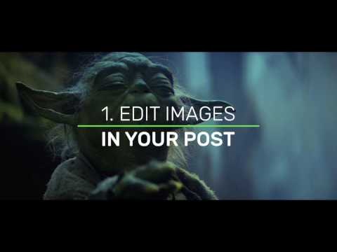 Vectr WordPress Plugin gallery image