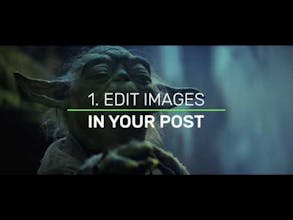 Vectr WordPress Plugin gallery image