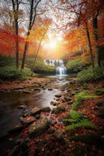 Natural Ai app Beta launch gallery image