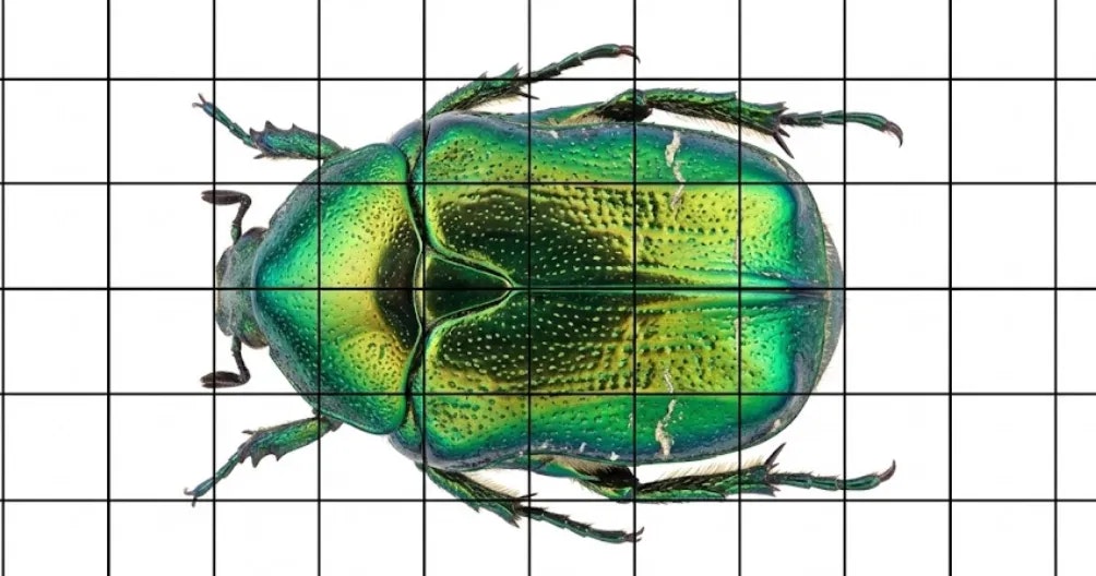 GridMaker.site - Screenshot 2 showing product features and functionality