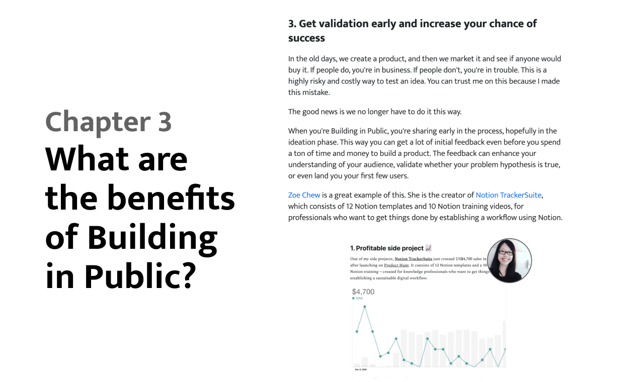 Building in Public Definite Guide gallery image