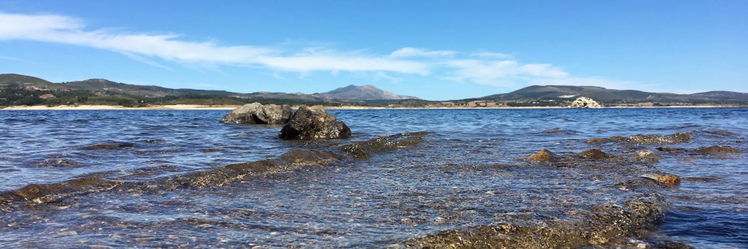 Bruno Bernardino cover