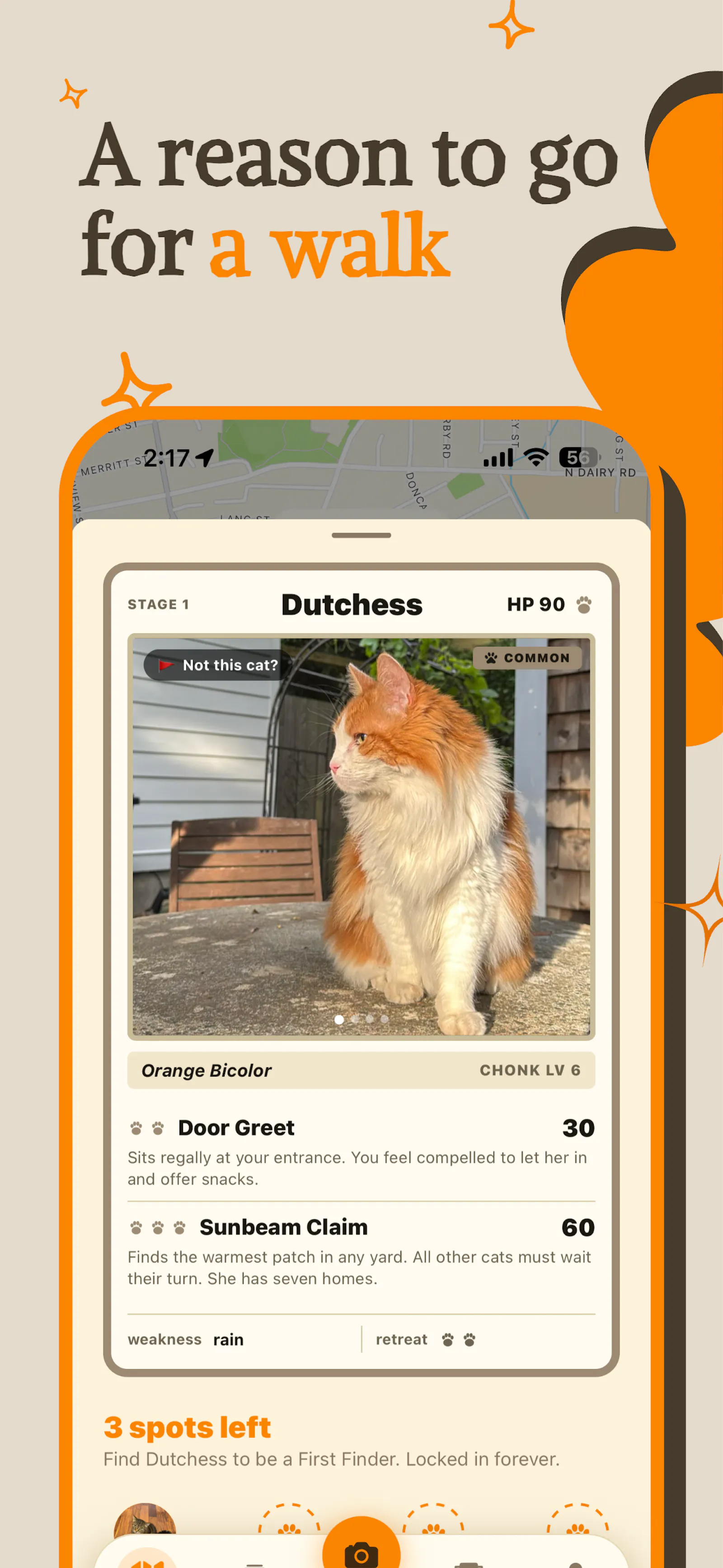 Chonk Finder screenshot 4