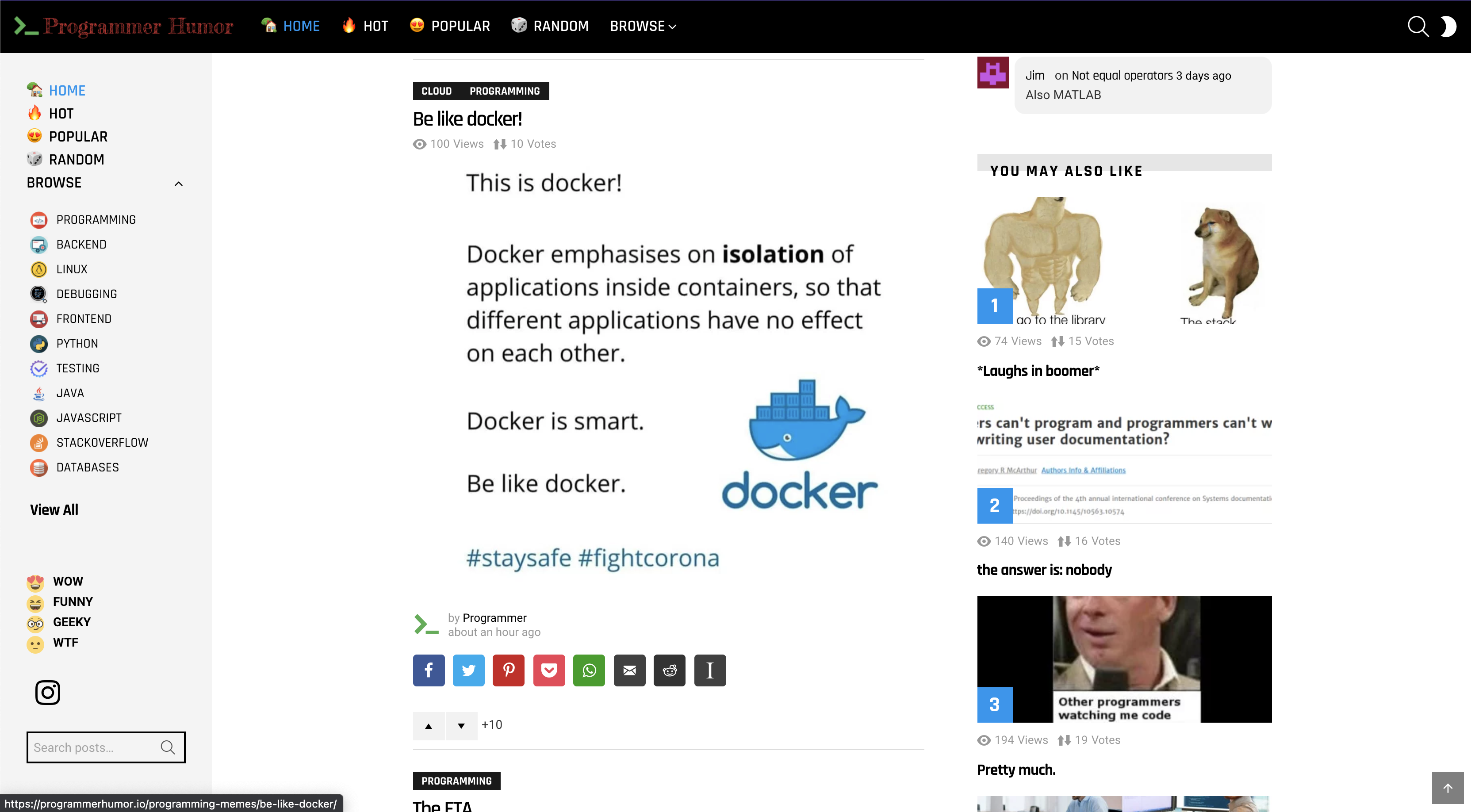 ProgrammerHumor.io gallery image