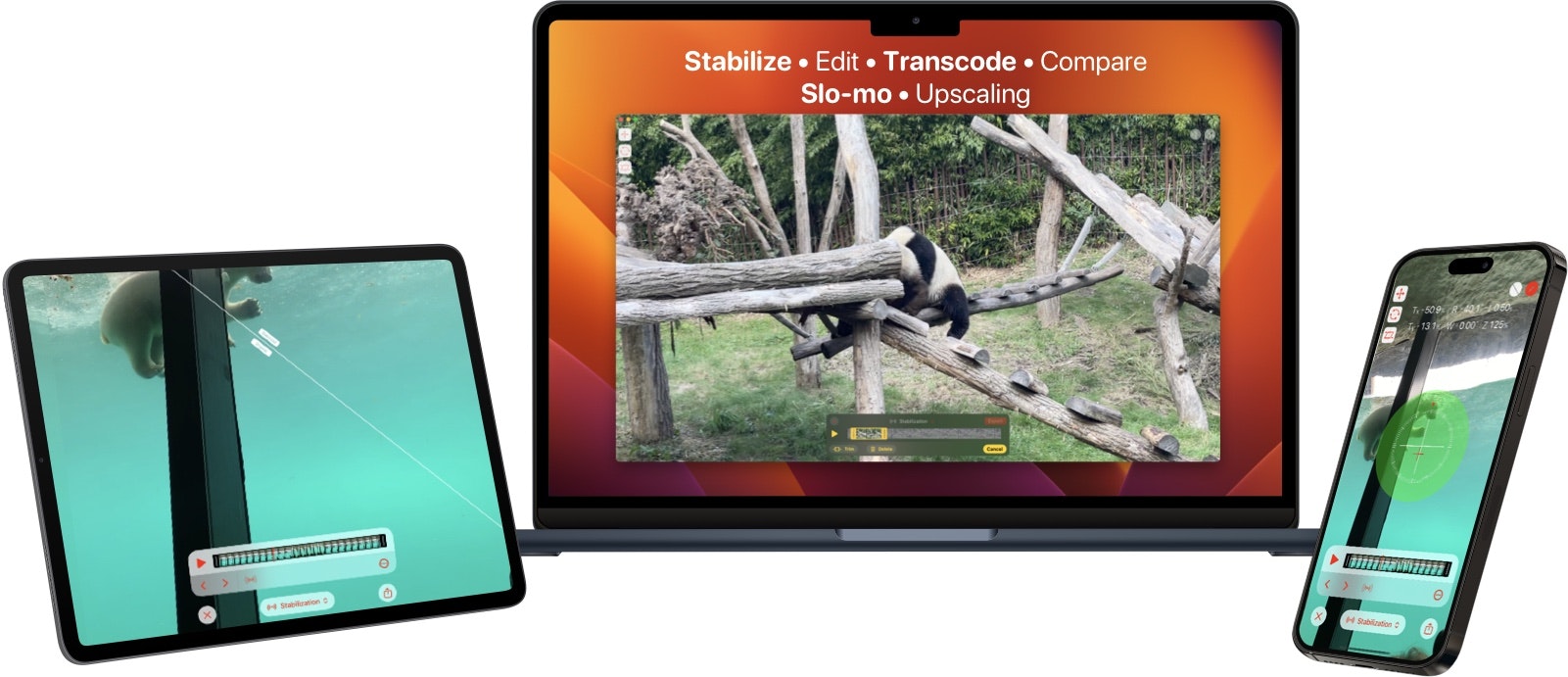 Emulsio 5 - Stabilizzare il video, inserire AI SLO-MO, Upscale, Aumenta FPS media 6