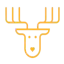 Deer IPTV