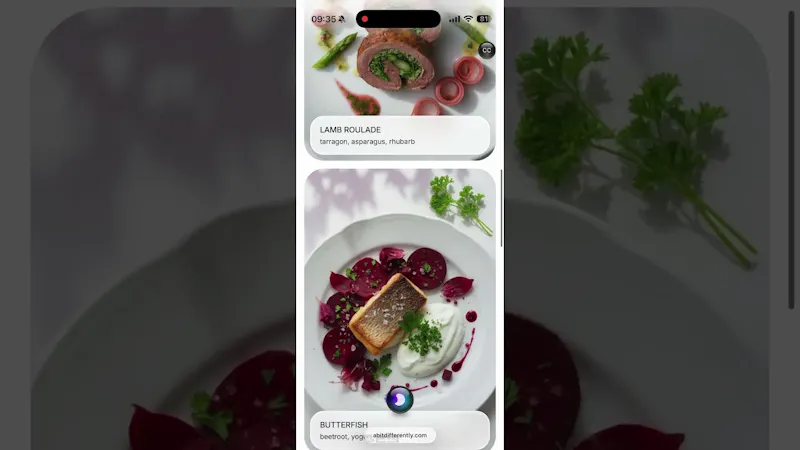 Restaurant Menu Visualizer screenshot 1 (video preview)
