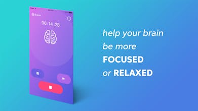 Brainie gallery image