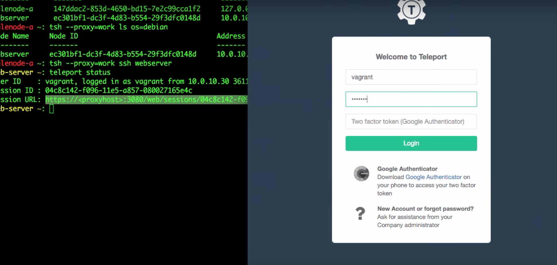 Gravitational gallery image