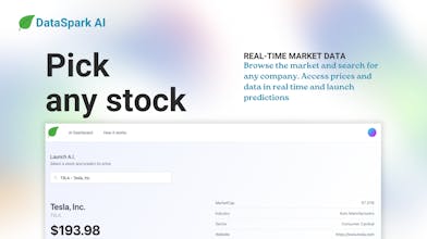 DataSpark AI gallery image