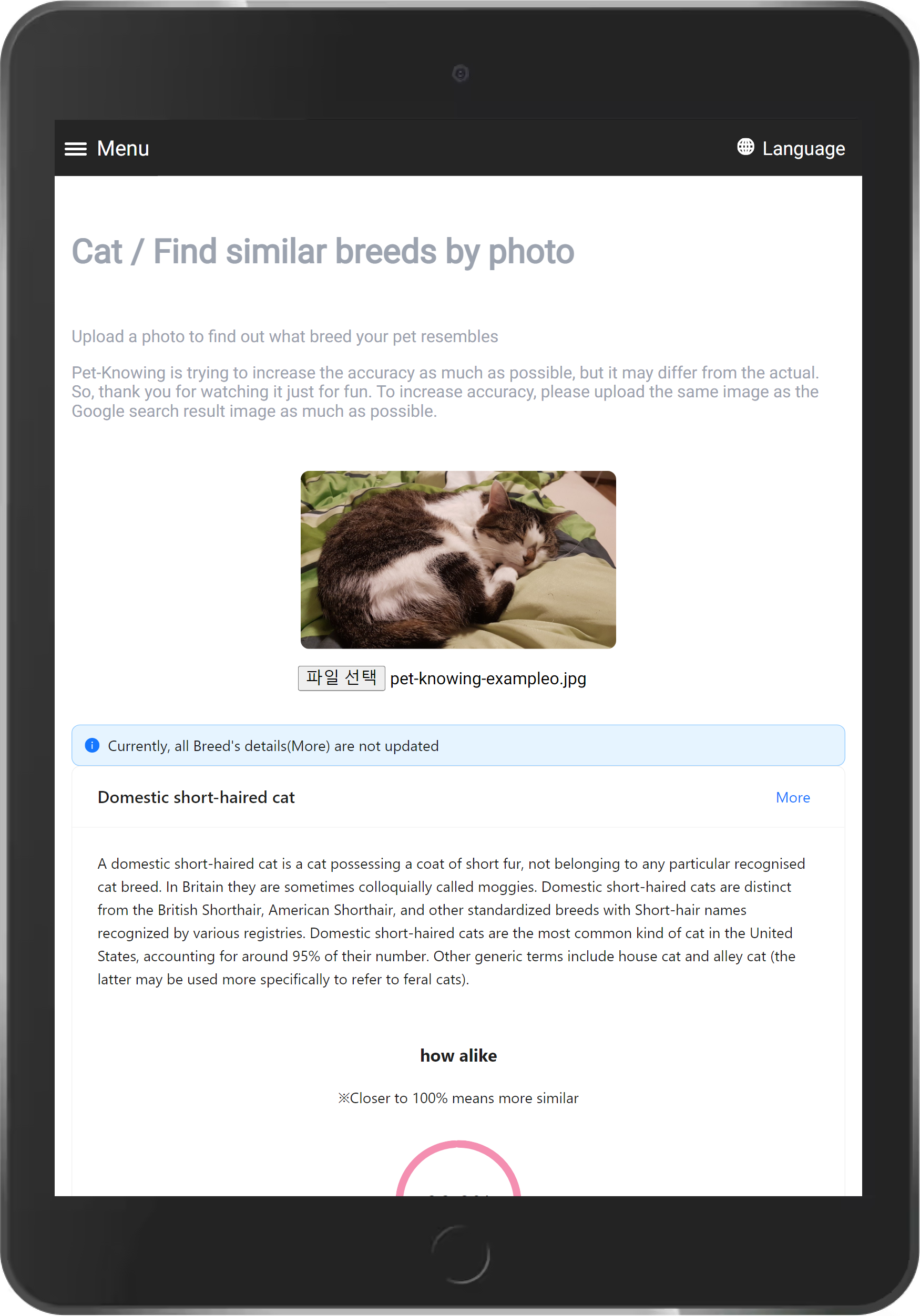 Haustierknowpuls - Haustier, Katze, Hund, Ai, React, Next.js, Strapi Medien 2