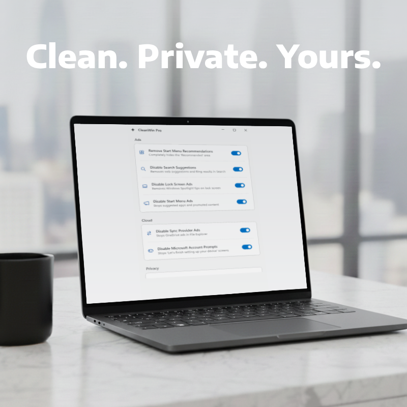 CleanWin Pro - Screenshot 2 showing product features and functionality