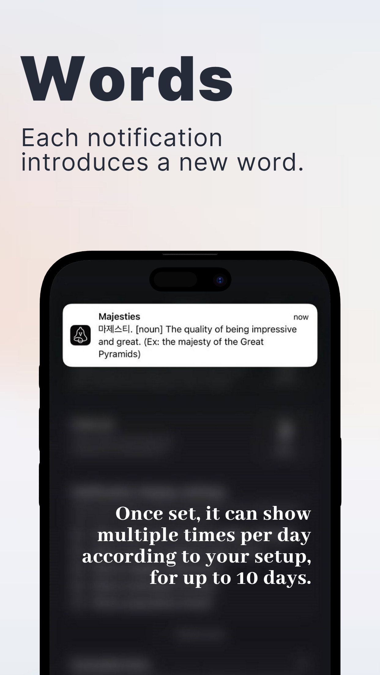 Vocaby media 4