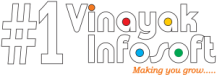 Agenzia di marketing digitale Ahmedabad - Migliore agenzia di marketing digitale |#1 Vinayak Infosoft media 1