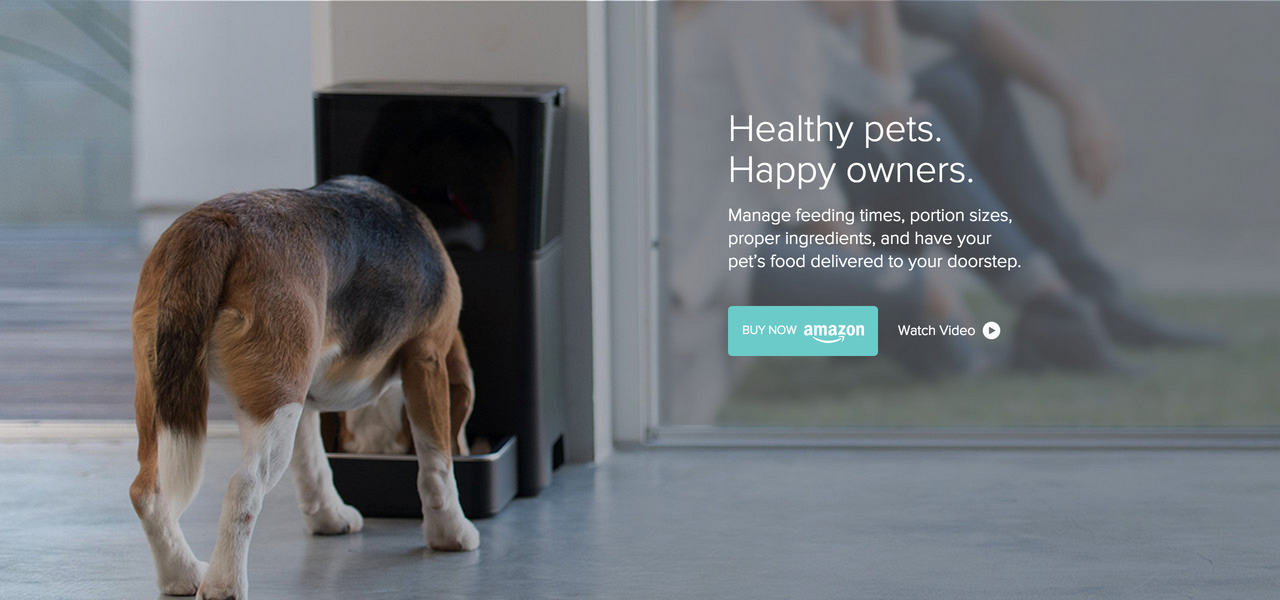 Petnet gallery image