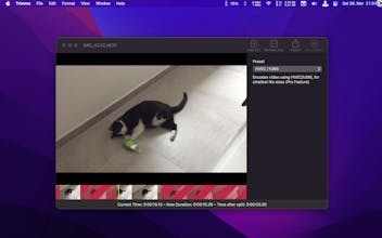 Trimma – Easy Video Cutting gallery image