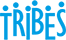 Digital Marketing Company Delhi - Tribes