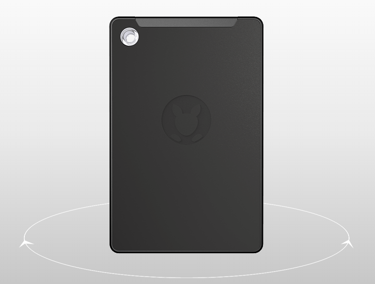 Kangaroo gallery image