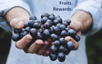 eBook: Startups Need a Knowledgebase gallery image