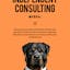 The Independent Consulting Manual