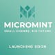 MicroMint