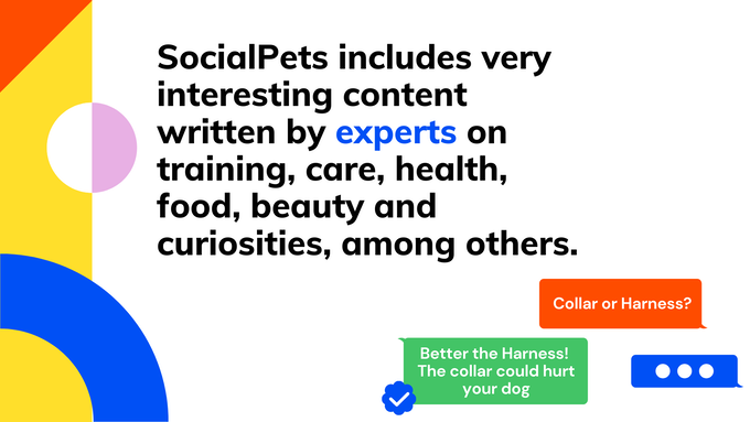 SocialPets gallery image