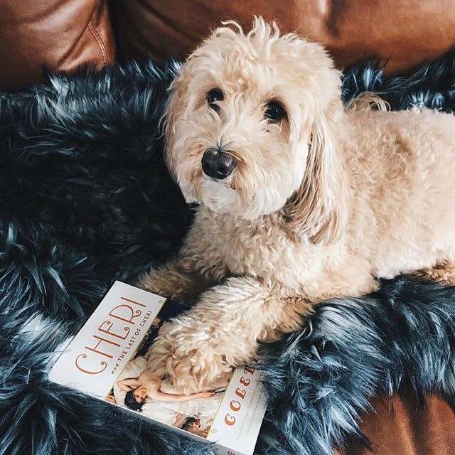 Capsule Books gallery image