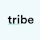 Tribe
