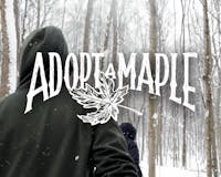 Adopt-a-Maple media 3