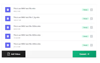 MKV to MP4 Converter gallery image