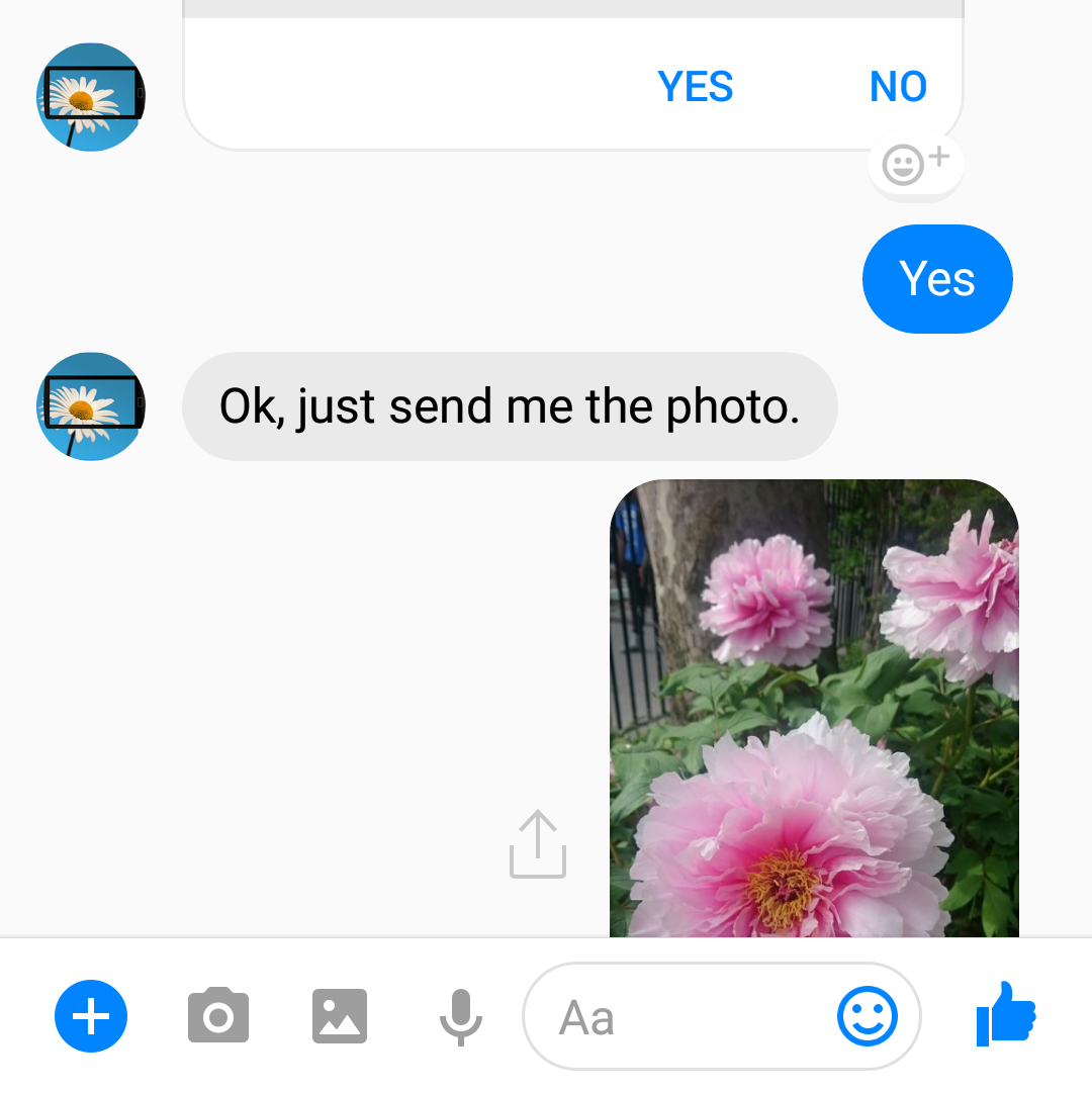 FlowerChecker chatbot gallery image