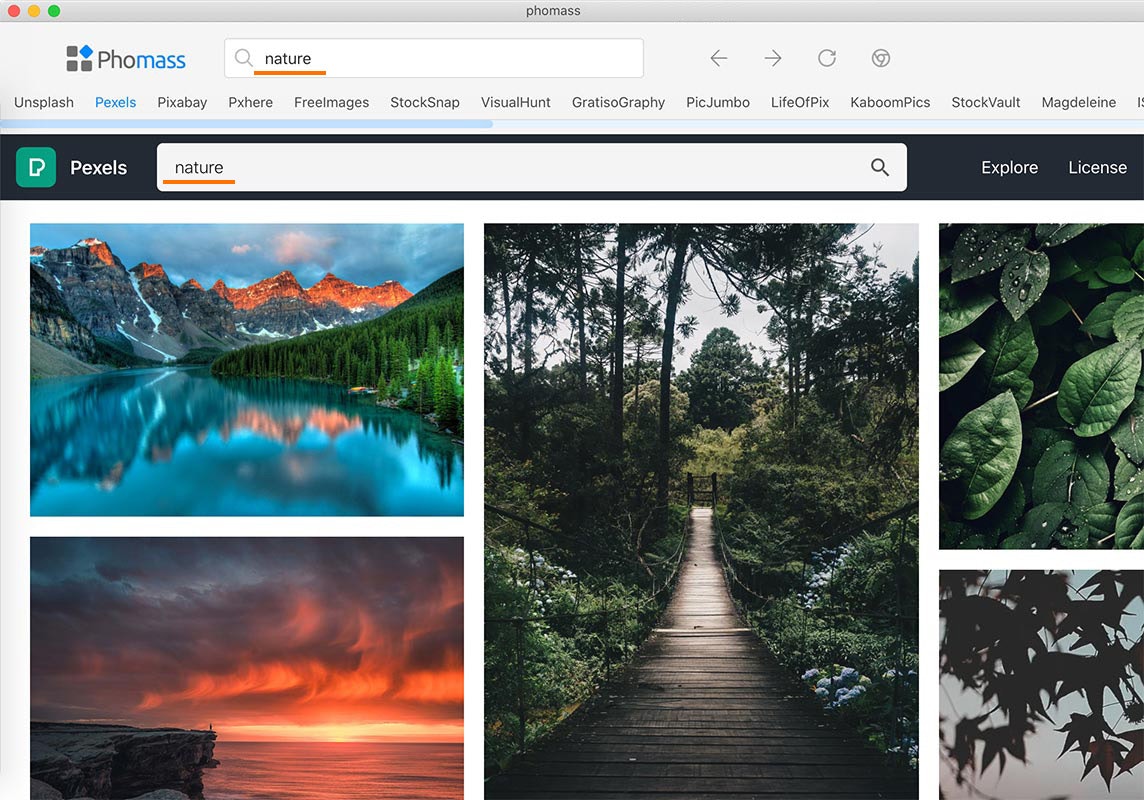 Phomass gallery image