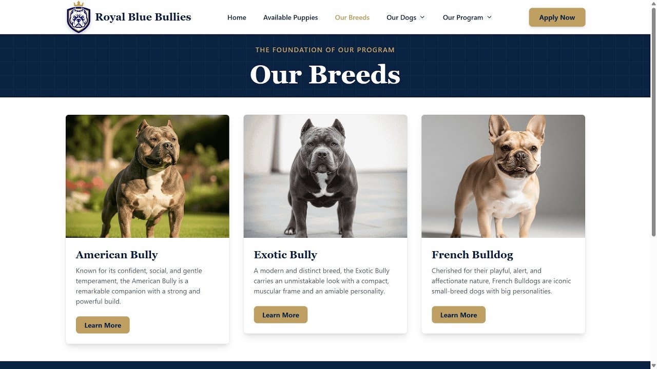 First and Last — Web & Interactive Tools gallery image