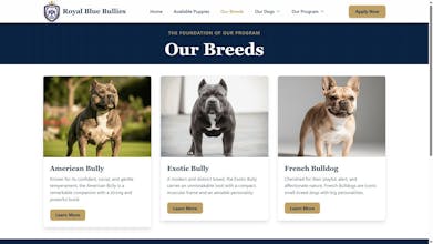 First and Last — Web & Interactive Tools gallery image