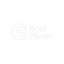 Brief2Brain