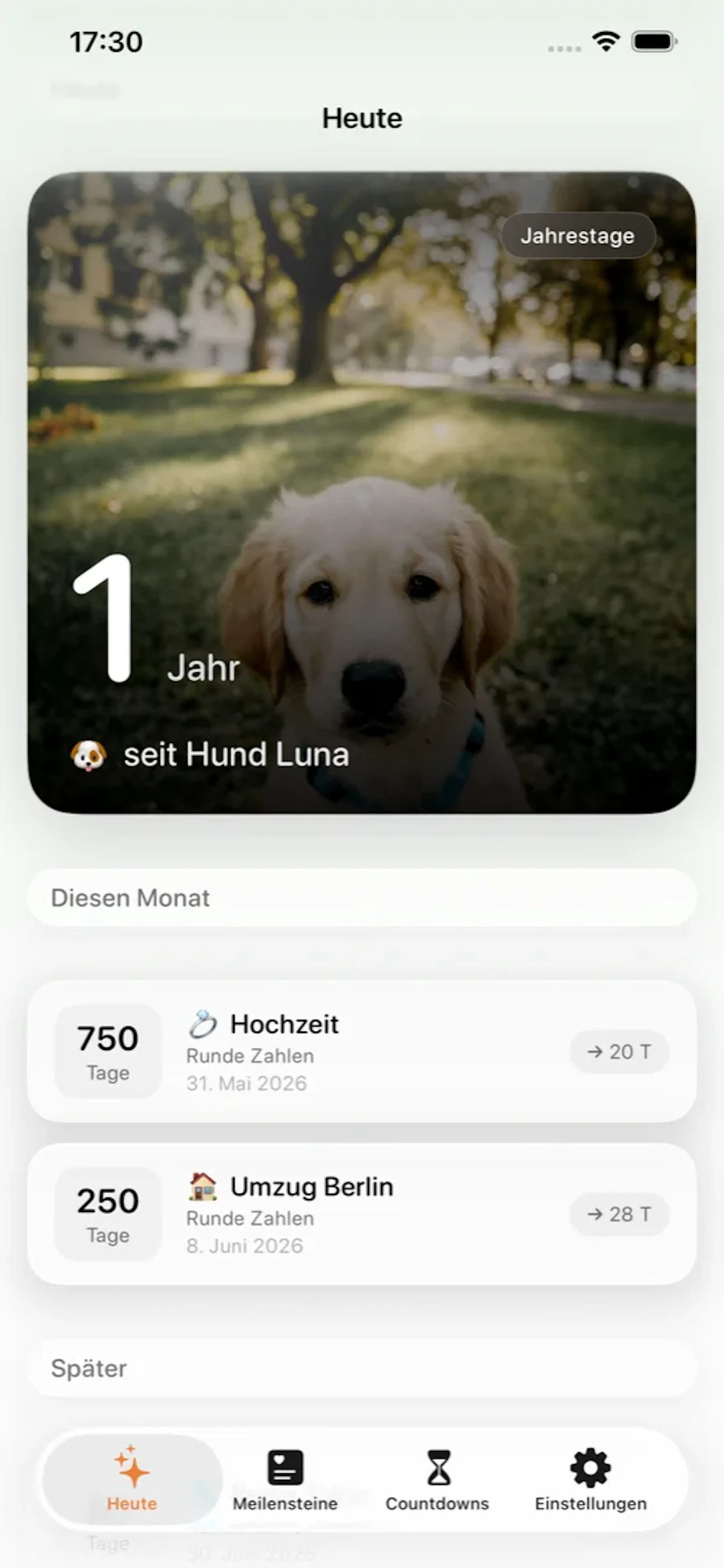 seit screenshot 3