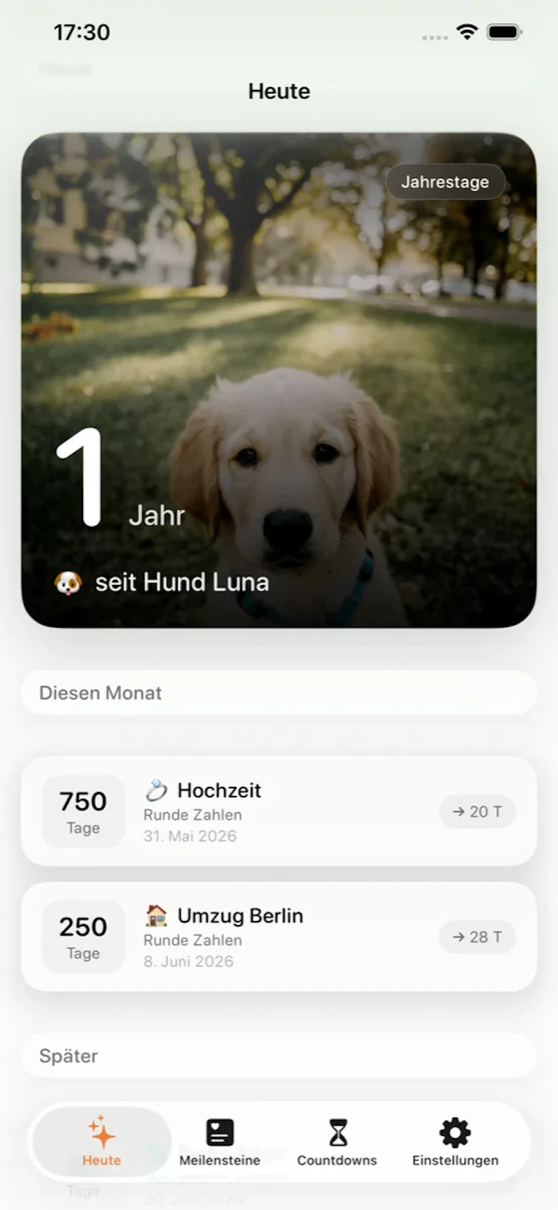 seit screenshot 3