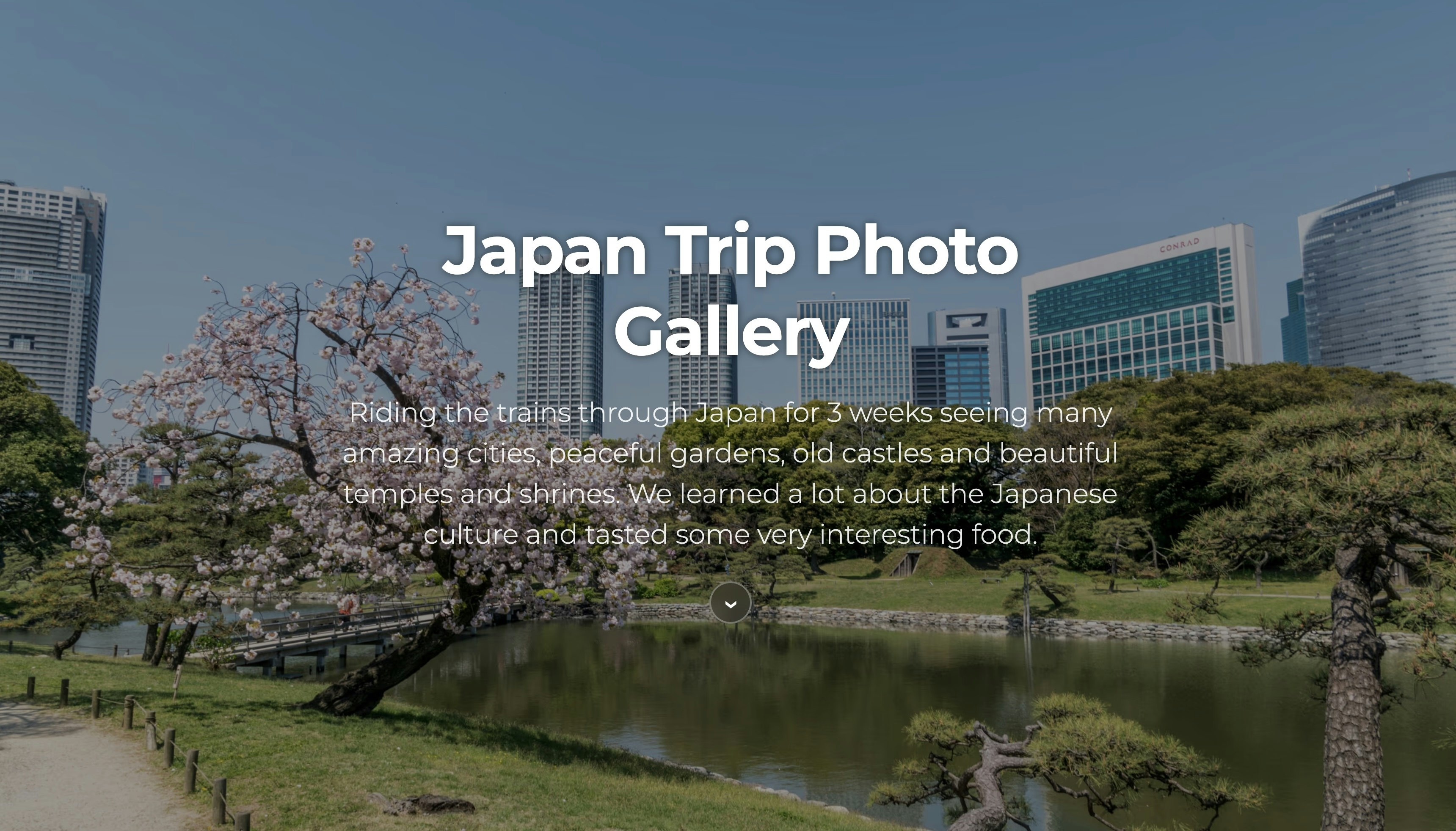 Mídia 3 de Simple Photo Gallery - Beautiful photo galleries in 1 minute